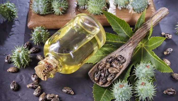 Kastorsko ulje – spas za vašu kožu